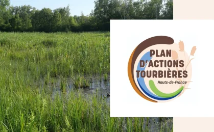 Plan d'actions tourbières en Hauts-de-France (PRAT)