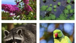 EEE_Hauts-de-France_exemples