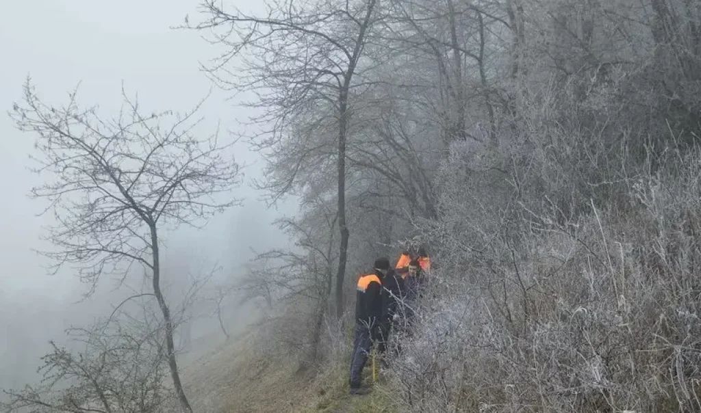 Photographie d'une animation chantier nature, organisée par le CEN Hauts-de-France sur le site Notre-Dame de Vaux à Eclusier-Vaux dans la Somme (Hauts-de-France). Photo d'un groupe de bénévoles effectuant des travaux de gestion dans la montagne de Vaux