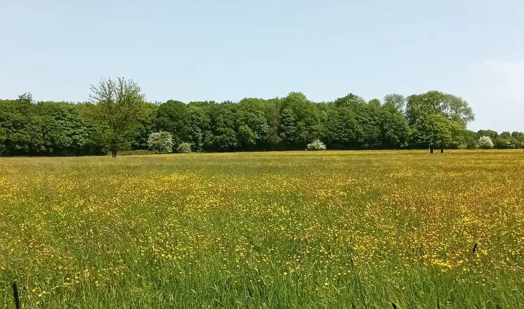 Etang de La Galoperie, Anor (Nord)