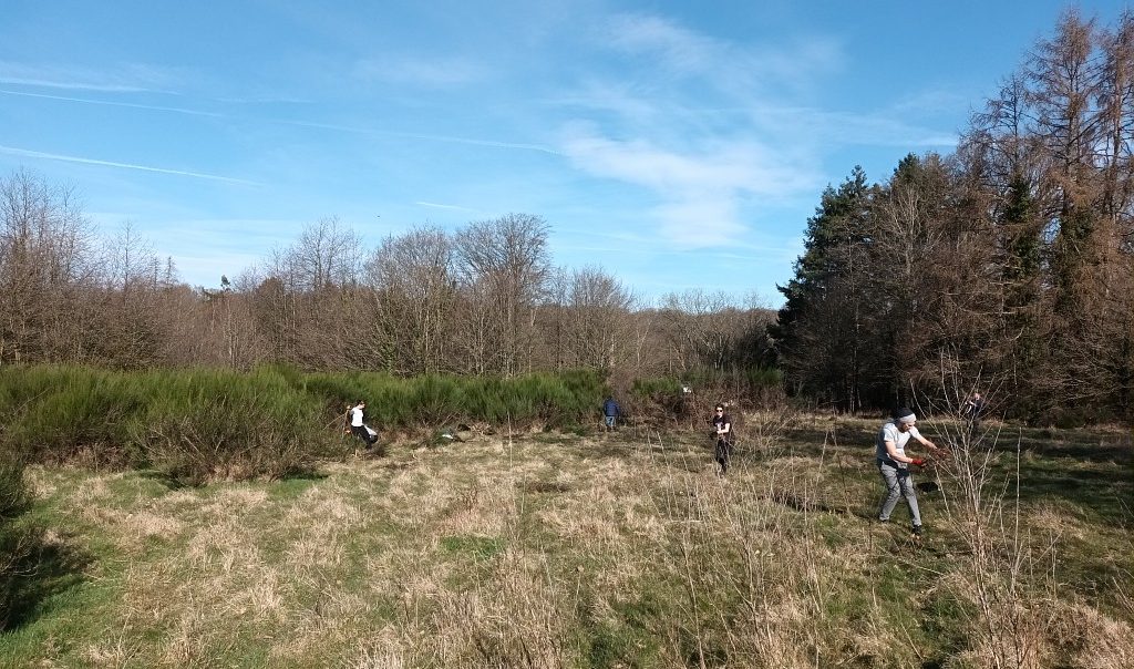 Photographie d'une animation de chantier nature débroussaillage à l'Etang de La Galoperie, à Anor, dans le Nord (Hauts-de-France)
