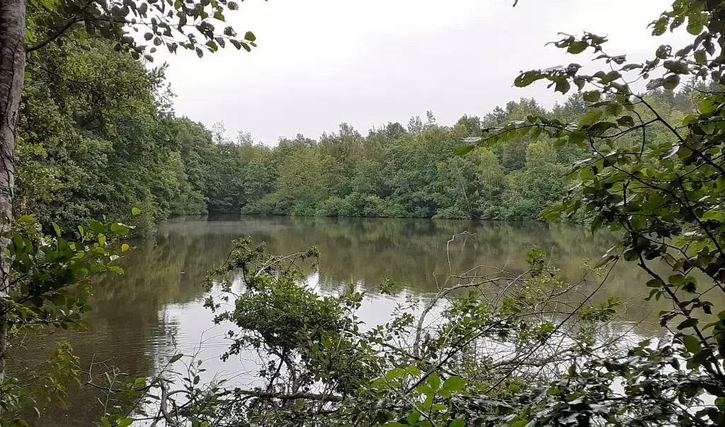 Photographie de l'Etang de la Carnaille, Ohain (Nord)