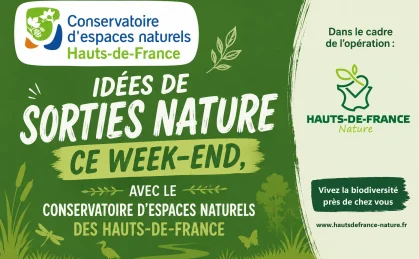 Idées-de-sorties-nature-ce-week-end-_samedi-23-et-dimanche-24-mai-2026_-dans-le-Nord-et-le-Pas-de-Ca