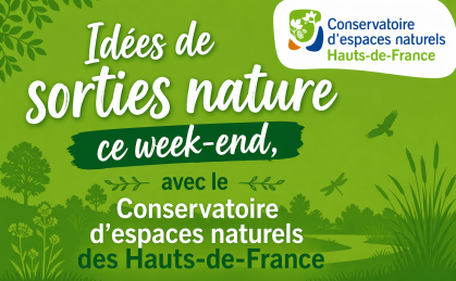 Idées-de-sorties-nature-ce-week-end-_samedi-25-avril-2026_-dans-le-Pas-de-Calais-et-l’Oise