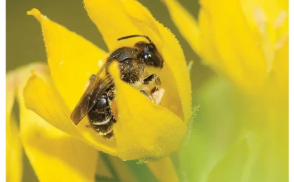 LI_n°22_mars_2026_version_web-Une