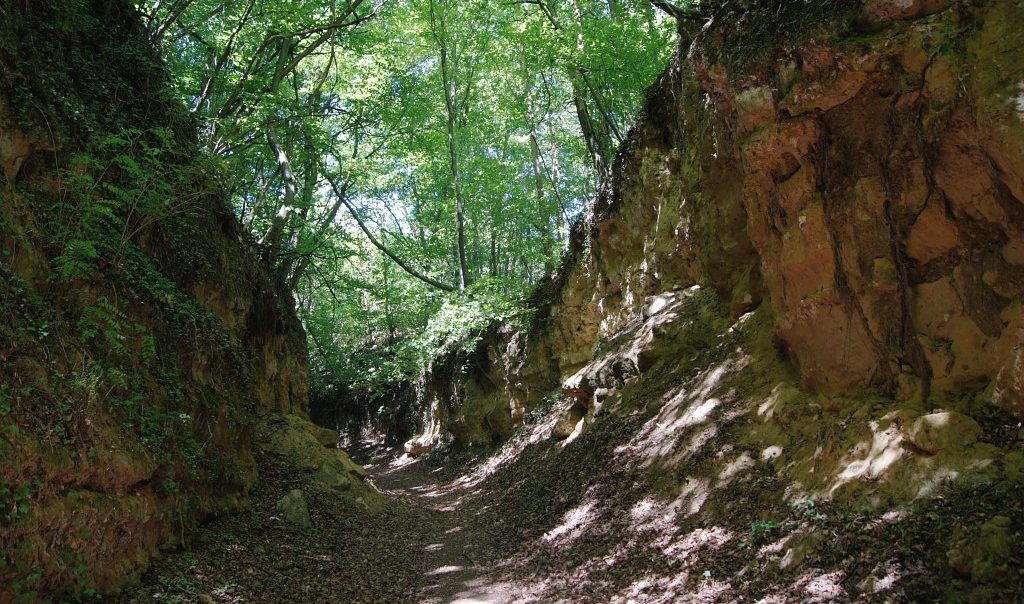 Photographie de la Cavée des Vaches à Béthisy-Saint-Pierre (Oise)