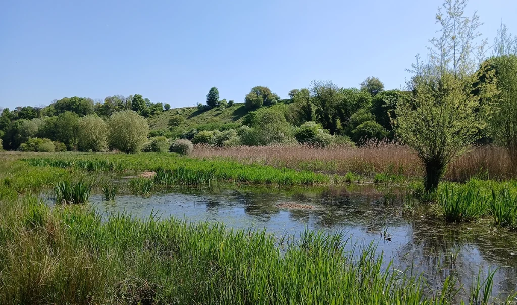 La Chaussée-Tirancourt Vallée d'Acon - © G. Meire