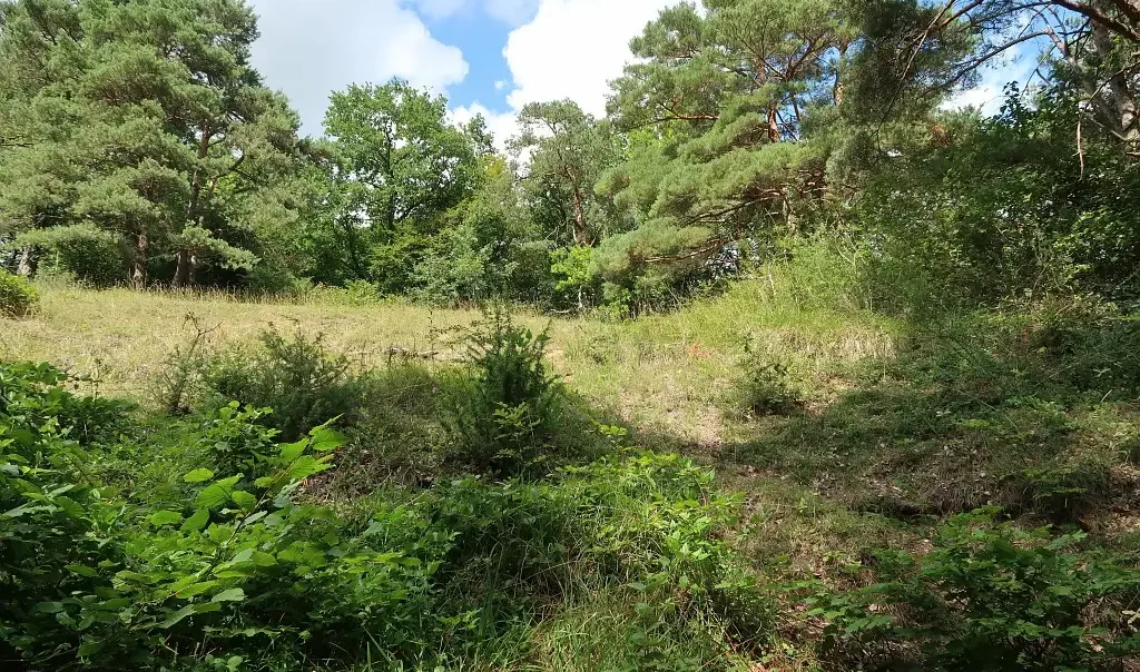 Photographie de la vue paysagère de la Pelouse de Roberval dans l'Oise