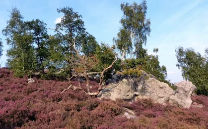 Photographie du paysage de la Hottée du Diable, Coincy (Aisne)