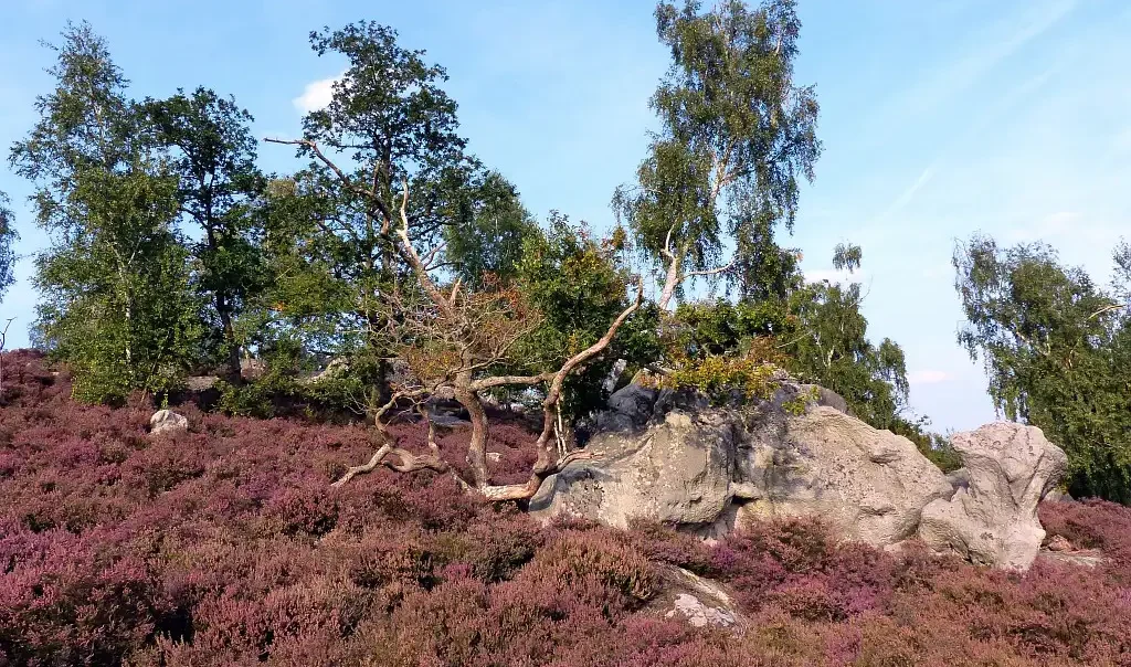 Photographie du paysage de la Hottée du Diable, Coincy (Aisne)