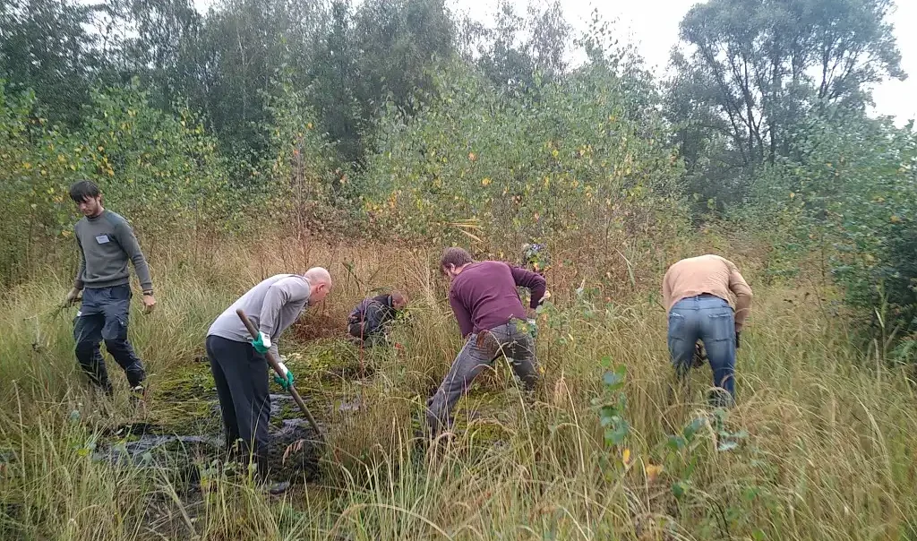 Photographie de bénévoles sur un chantier nature de débroussaillage. Travaux de gestion du CEN Hauts de France à Lallaing au Le Terril de Germignies Sud dans le Nord