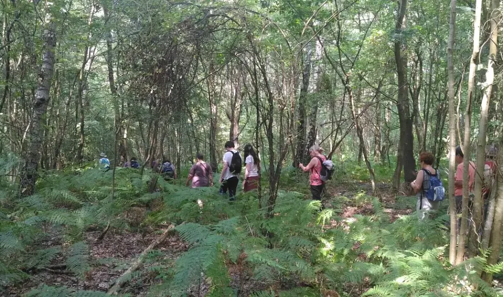 Photographie d'une animation grand public sortie nature par les Conservateurs bénévoles au Bois des Coutumes à Allonne dans l'Oise