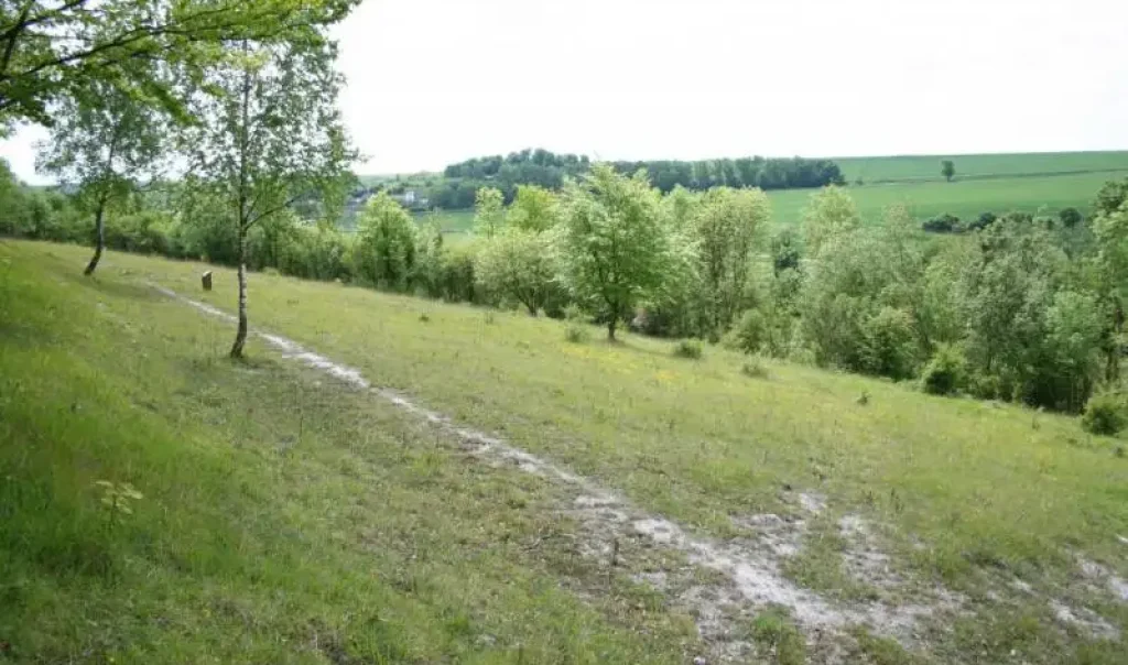 Photographie du Larris des Terres Blanches, Marseille-en-Beauvaisis (Oise)
