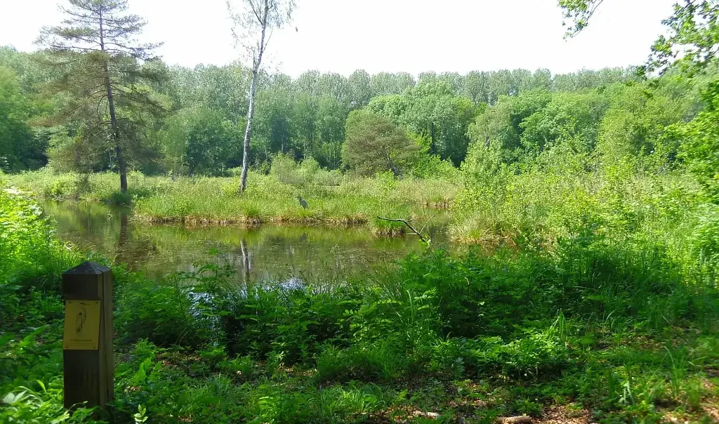 Le Marais de Bourneville, Marolles (Oise)