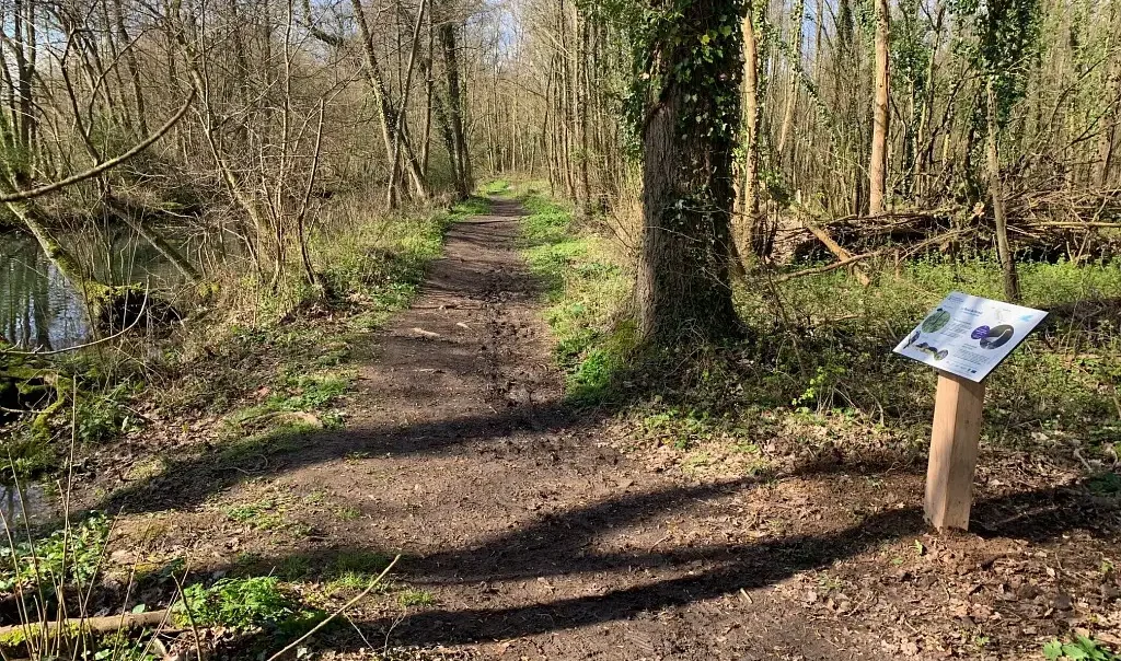 Photographie du sentier du site du Marais de Maroeuil dans le Pas-de-Calais.