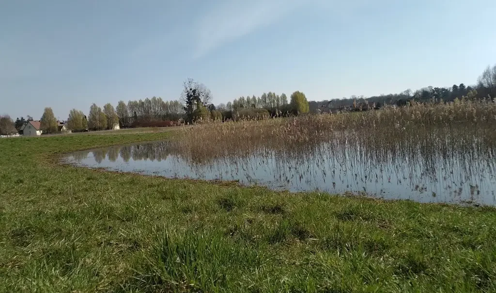 Le Trou Boully, Le Plessis-Brion (Oise)
