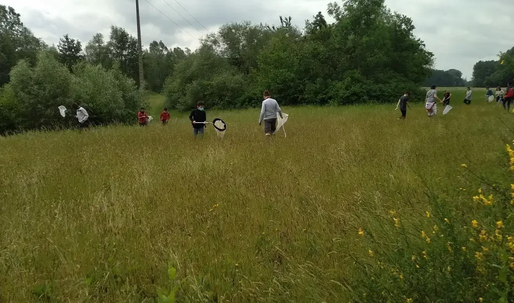 Photographie animation Sortie nature sur le site du Trou Boully au Plessis-Brion (Oise)