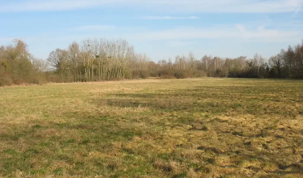 Les Pelouses des Muternes, Veslud (Aisne)