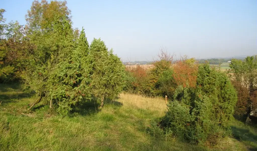 Photographie du paysage des Larris d'Auteuil dans l'Oise.