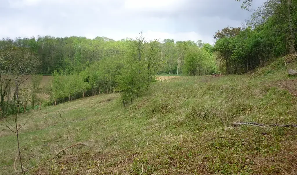 Photographie du site des pelouse (calcicoles) de Montchevillon à Oulchy-la-Ville (Aisne)