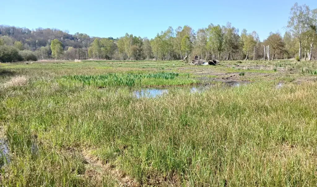 Marais communaux de Mareuil-Caubert (Somme)