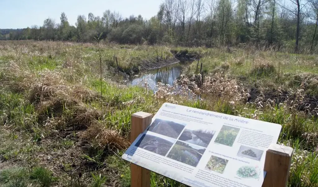 Marais de Bresles (Oise)