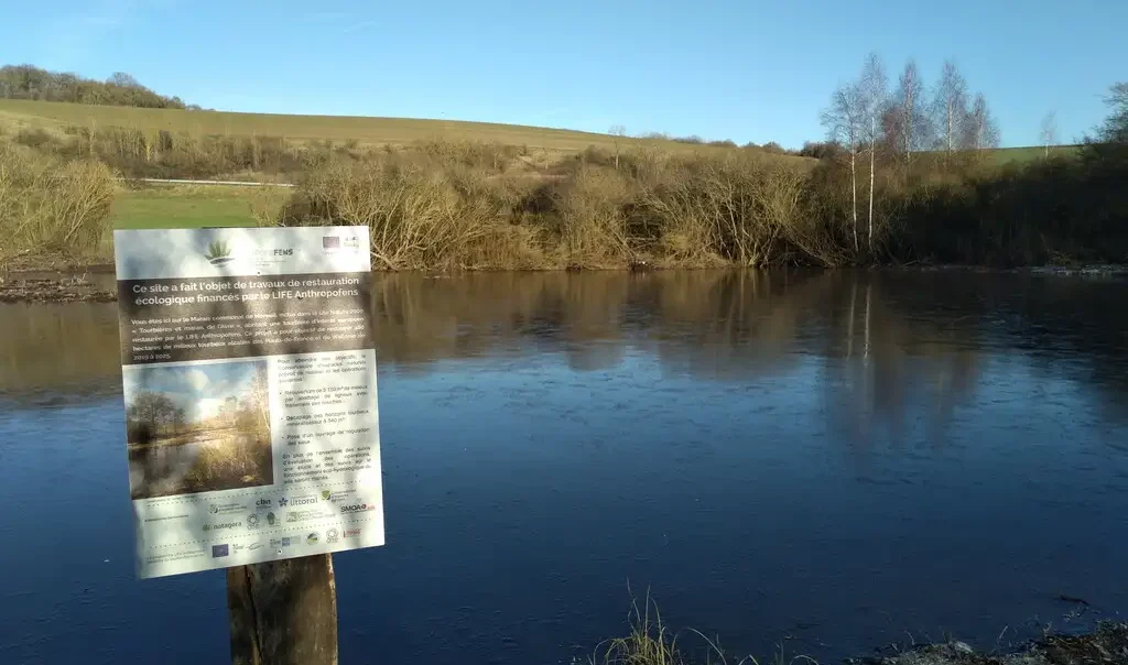 Photographie du Marais de Génonville à Moreuil (Somme) avec en premier plan un panneau signalétique expliquant le chantier du site en rapport avec le projet Life Anthropofens (en faveur des tourbières alcalines des Hauts-de-France).