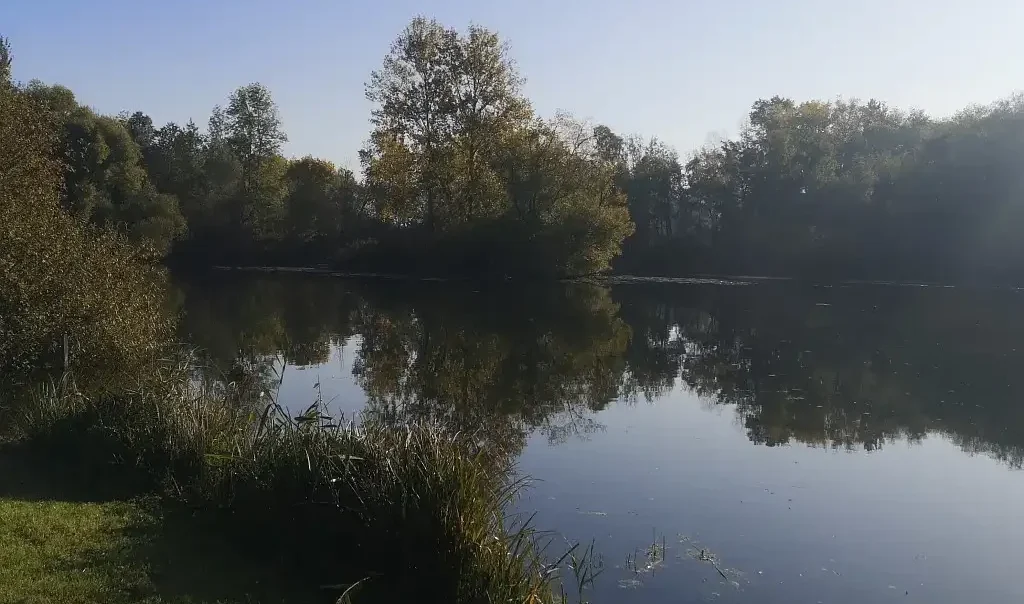 Photographie du Marais de Rumaucourt (Pas-de-Calais)