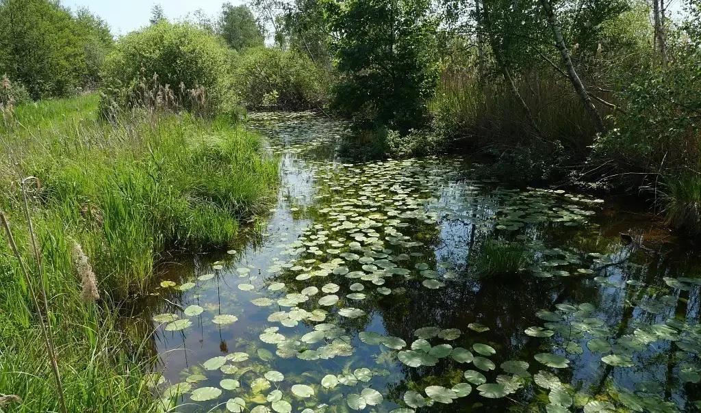 Photographie des propriétés départementales du Marais de Sacy, dans l'Oise