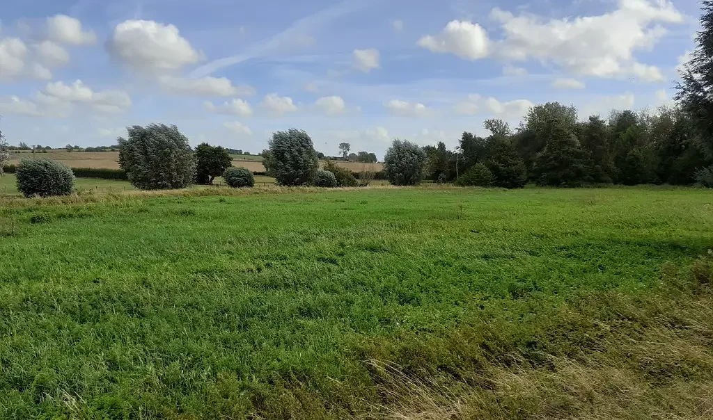 Paysage Marais de Solesmes (Nord)