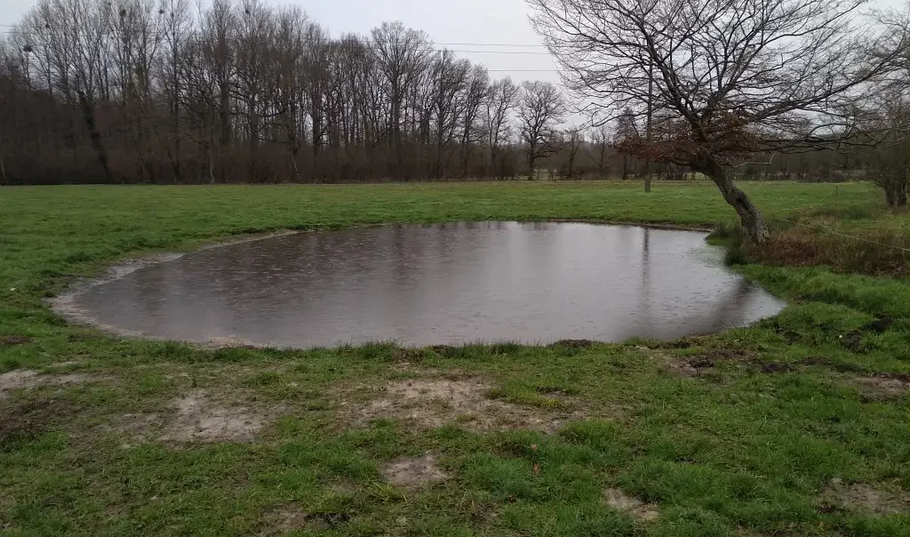Photo d'une mare à Ons-en-Bray (Oise)