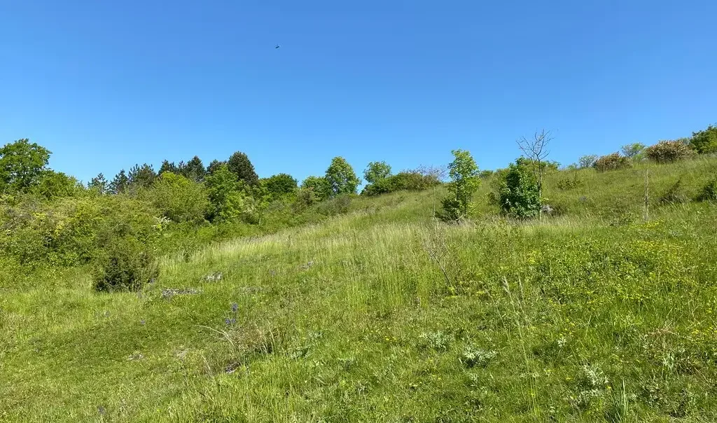 Mont Bossu, Chevregny (Aisne)