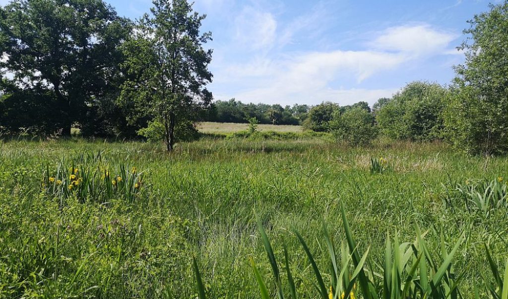 Parc à Poulains à Saint-Germer-de-Fly