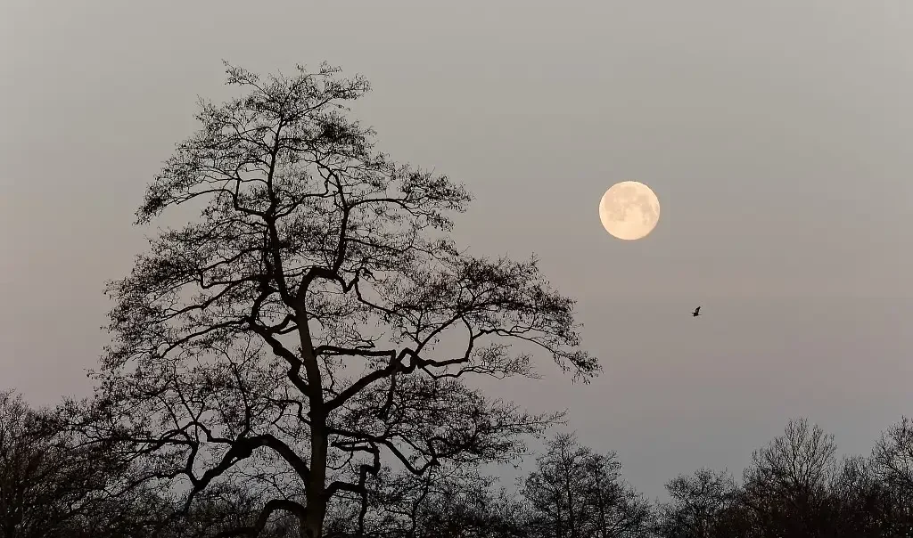 Photographie d'un paysage crépusculaire