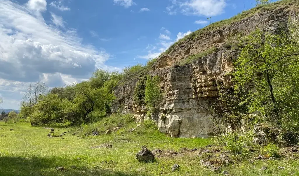 Photo de la Réserve naturelle régionale (RNR) de la Pelouse de la Chaouïa, à Oeuilly (Aisne). Milieu naturel herbacé avec une pelouse calcicole