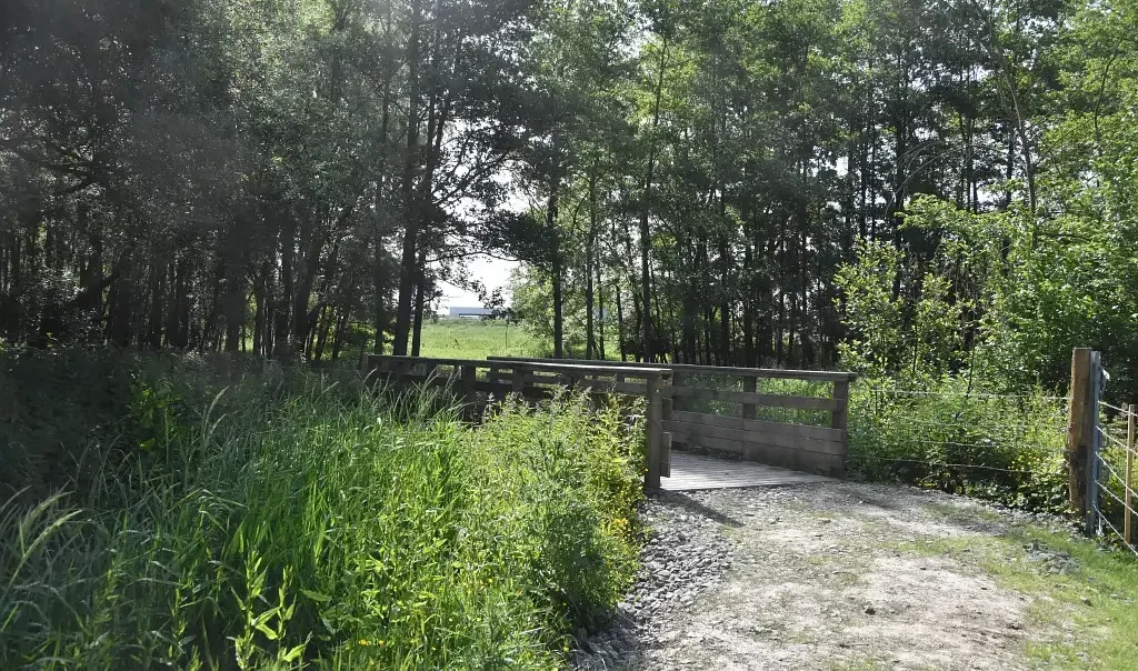Photographie de la Prairie d'Hurionville à Lillers (Pas-de-Calais)