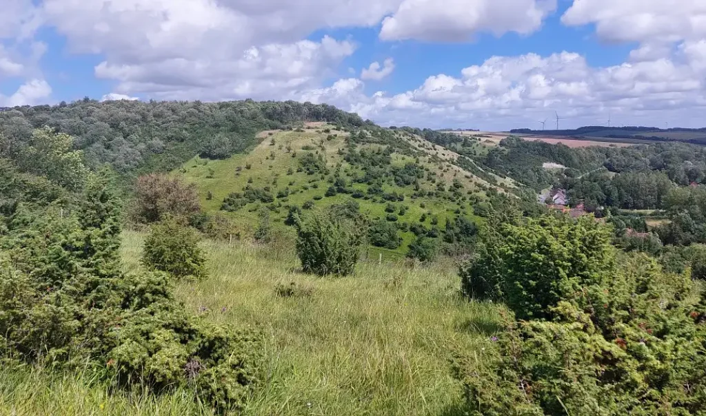 Photographie panoramique de la Réserve Naturelle Nationale (RNN) : la grotte et les pelouses d'Acquin-Westbécourt et les coteaux de Wavrans-sur-l'Aa) dans le Pas-de-Calais.