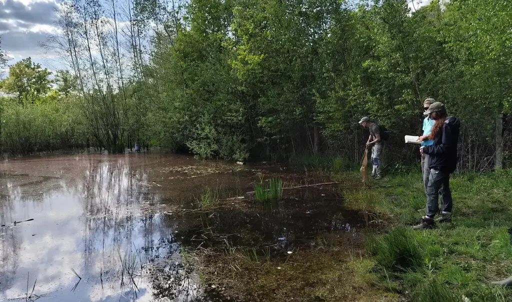 Photographie d'une des mares de la réserve naturelle nationale des Landes de Versigny (Aisne). Des personnes du CEN Hauts-de-France y travaillent.