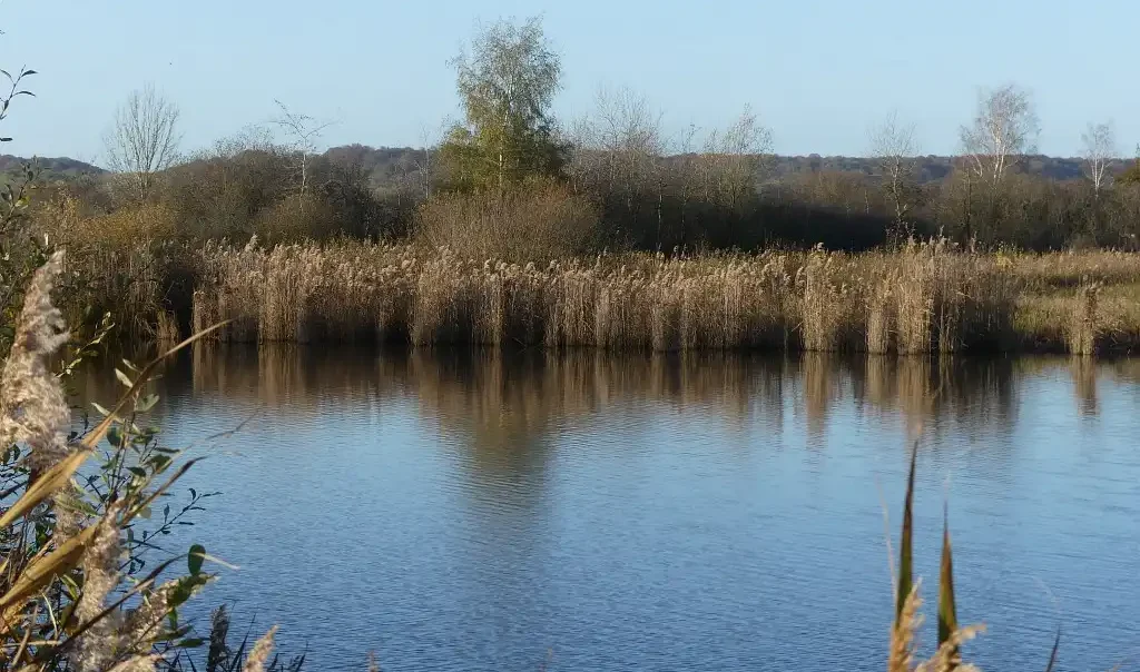 Photographie de Sacy -Le-Grand, Marais dans les Hauts-de-France. Marais Communaux à Sacy-le-Grand dans l'Oise.