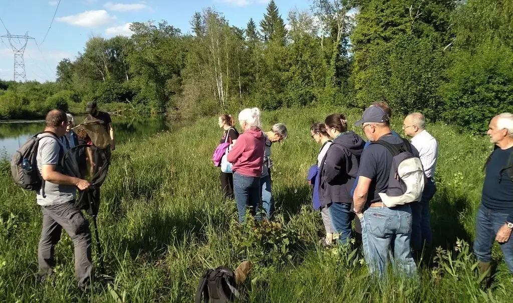 Photographie d'une animation sortie nature découverte au marais communal de Breuil-le-Sec (Oise)