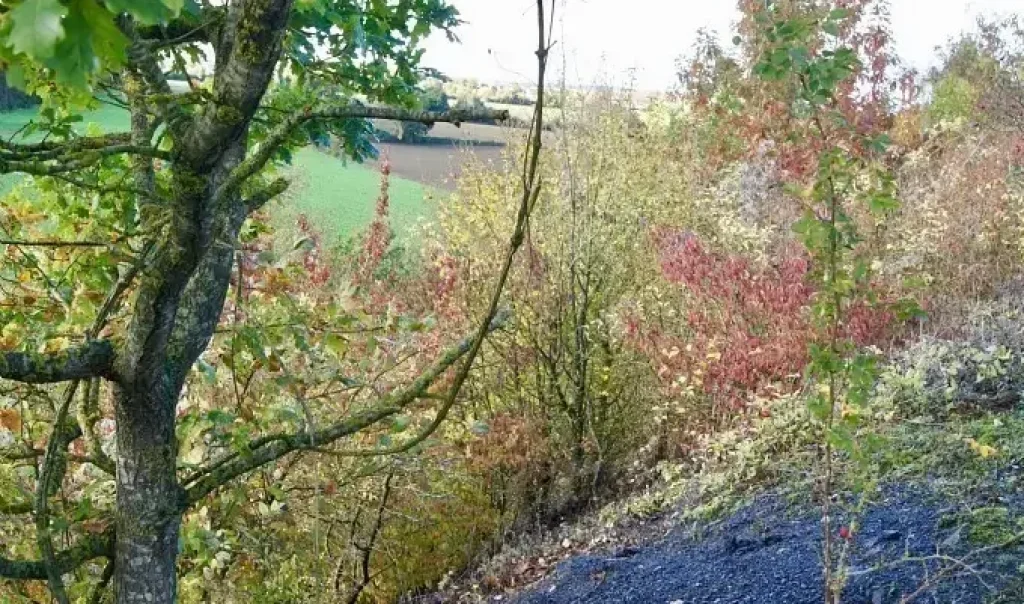 Photographie du Terril de Burbure (Pas-de-Calais)