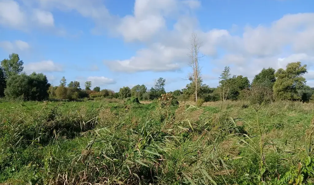 Vaucelles-et-Beffecourt (Aisne), ©K. Georgin - CEN Hauts-de-France