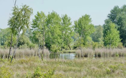 Propriétés départementales du Marais de Sacy (Oise), ©R. Monnehay