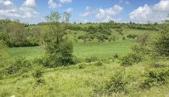 ©M.Gatel - CEN Hauts-de-France